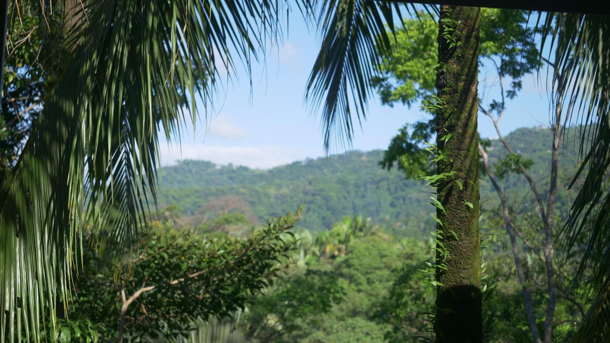 Casa Oh - Oceanview Guesthouse Uvita Buitenkant foto