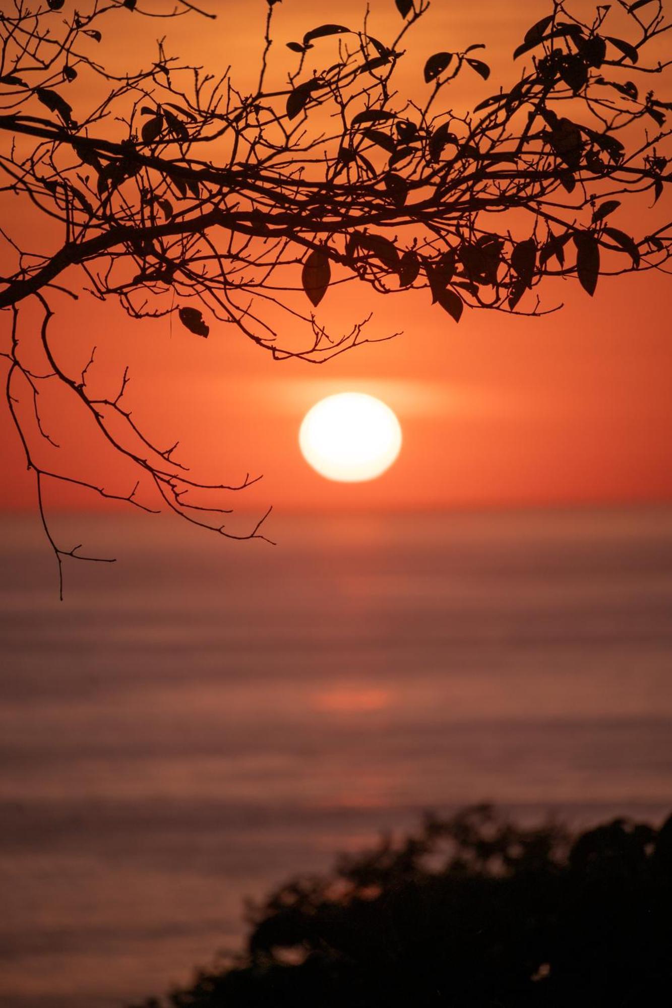 Casa Oh - Oceanview Guesthouse Uvita Buitenkant foto