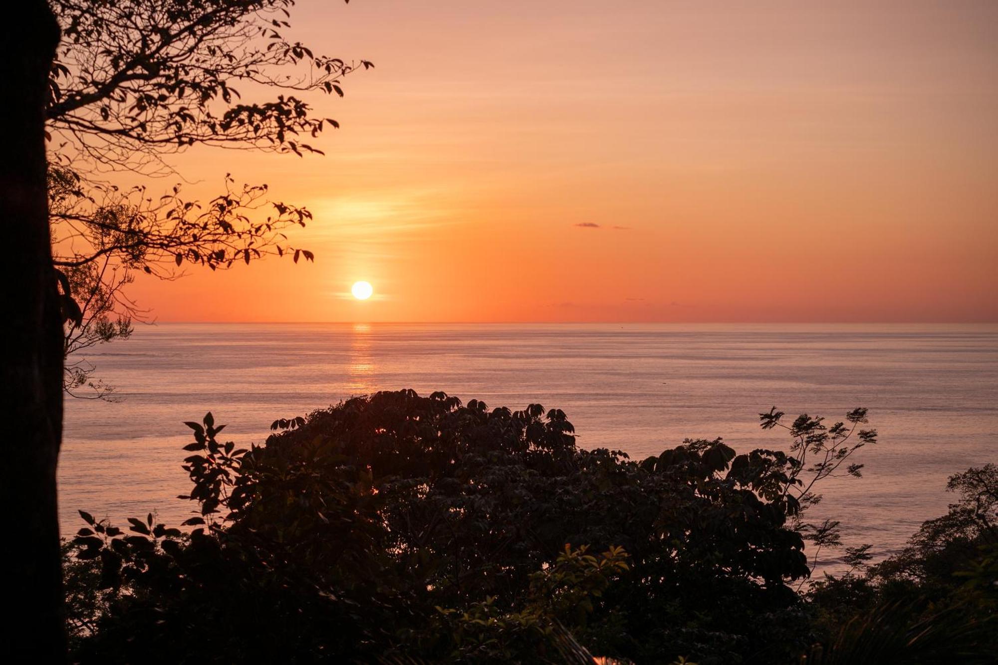 Casa Oh - Oceanview Guesthouse Uvita Buitenkant foto