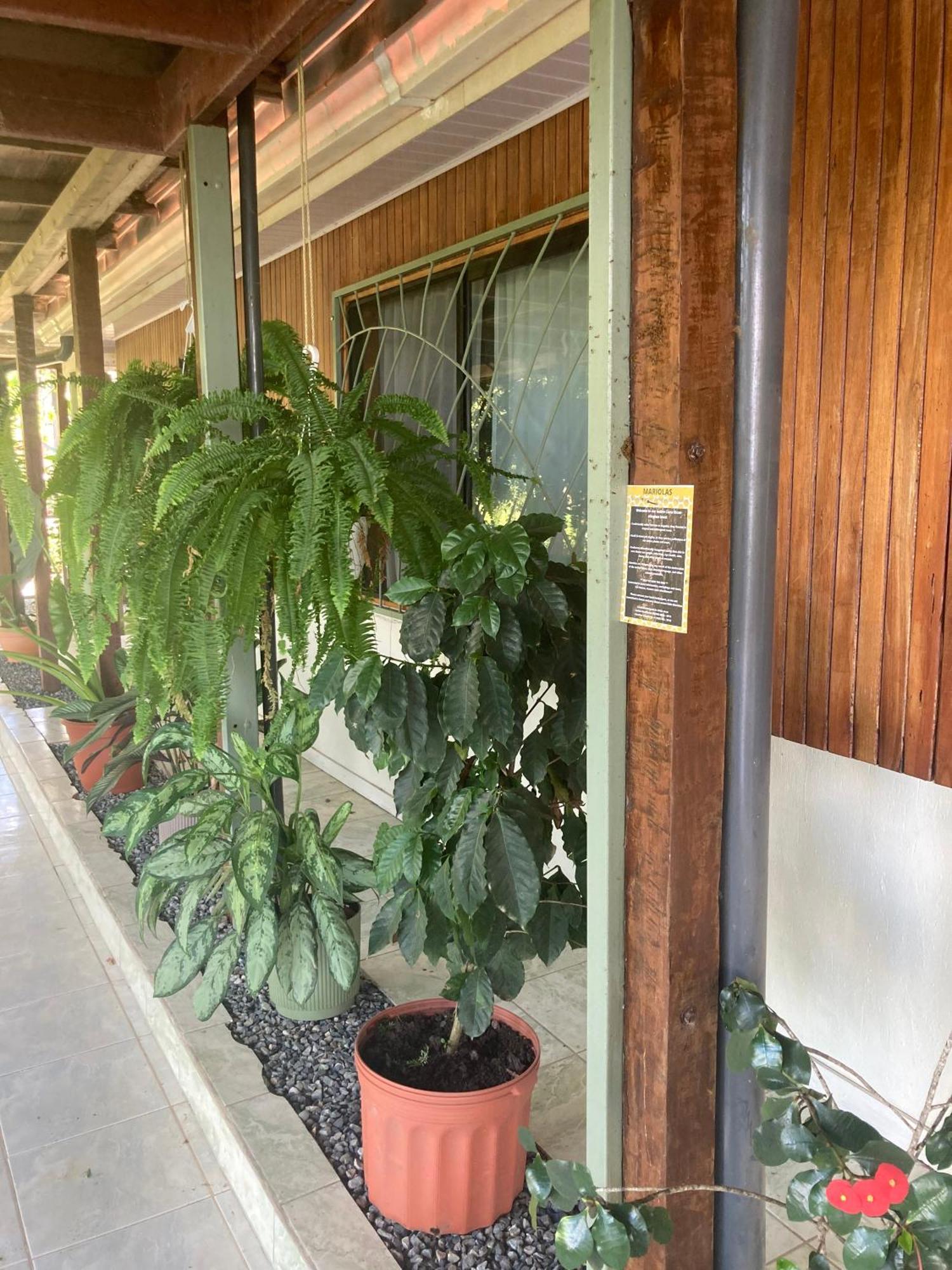 Casa Oh - Oceanview Guesthouse Uvita Buitenkant foto